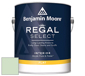 Benjamin Moore 547 Regal Select Waterborne Interior Flat Finish краска цвет 2034-60 Light Pistachio