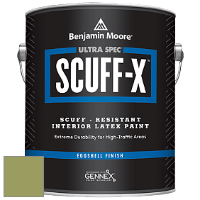 Benjamin Moore 485 Ultra Spec SCUFF-X Interior Eggshell Finish краска цвет NCS S 3040-G50Y 