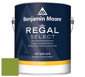 Benjamin Moore 547 Regal Select Waterborne Interior Flat Finish краска цвет NCS S 2070-G40Y 