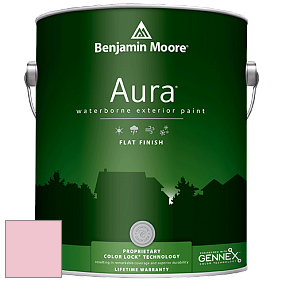 Benjamin Moore Aura 629 Waterborne Exterior Flat Finish краска цвет 2007-60 Pastel Pink