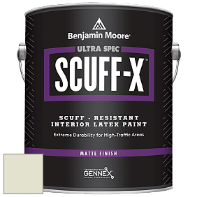Benjamin Moore 484 Ultra Spec SCUFF-X Interior Matte Finish краска цвет NCS S 0907-G60Y 