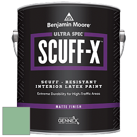 Benjamin Moore 484 Ultra Spec SCUFF-X Interior Matte Finish краска цвет NCS S 2030-G10Y 