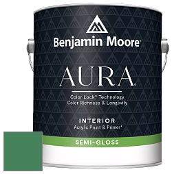 Benjamin Moore Aura 528 Waterborne Interior Semi-gloss Finish краска цвет 2038-20 Irish Clover