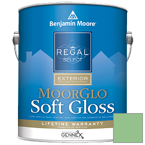 Краска Regal Select Exterior Paint-Moor GloSoft Gloss Finish (W096) цвет 572 Branch Brook Green