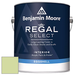 Benjamin Moore 549 Regal Select Waterborne Interior Eggshell Finish краска цвет 2029-50 Potpourri Green
