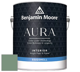 Benjamin Moore Aura 524 Waterborne Interior Eggshell Finish краска цвет NCS S 4020-G10Y 
