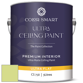COLOR SMART CS 758 ULTRA CEILING PAINT ультраматовая краска цвет NCS S 0540-G50Y 