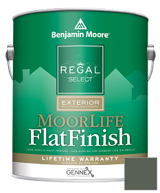 Краска Regal Select Exterior Paint-MoorLife Flat Finish (W105) цвет 448 Dakota Shadow