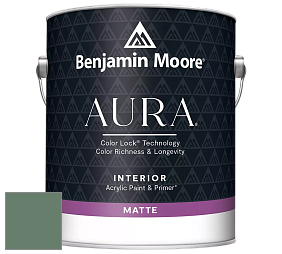 Benjamin Moore Aura 522 Interior Paint - Matte краска цвет NCS S 5020-G10Y 