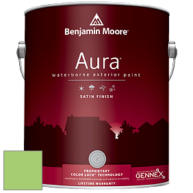 Benjamin Moore Aura 631 Waterborne Exterior Satin Finish краска цвет 2030-40 Spring Leaf