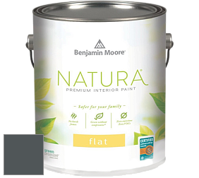 Benjamin Moore 512 Natura Interior Flat Finish матовая краска цвет 2135-20 Stonecutter