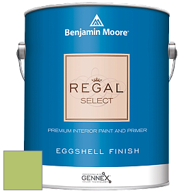Benjamin Moore 549 Regal Select Waterborne Interior Eggshell Finish краска цвет 2029-40 Stem Green