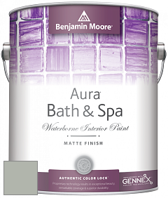 Benjamin Moore Aura 532 Bath & Spa Waterborne Interior Paint Matte Finish краска цвет 2138-50 Misted Green