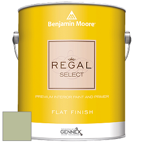 Benjamin Moore 547 Regal Select Waterborne Interior Flat Finish краска цвет NCS S 2020-G40Y 