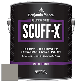 Benjamin Moore 484 Ultra Spec SCUFF-X Interior Matte Finish краска цвет NCS S 4502-Y 