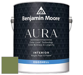 Benjamin Moore Aura 524 Waterborne Interior Eggshell Finish краска цвет NCS S 4040-G40Y 