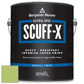 Benjamin Moore 485 Ultra Spec SCUFF-X Interior Eggshell Finish краска цвет 2029-40 Stem Green