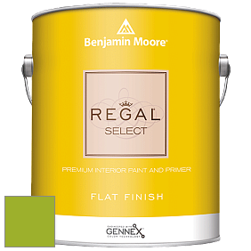 Benjamin Moore 547 Regal Select Waterborne Interior Flat Finish краска цвет NCS S 1075-G40Y 
