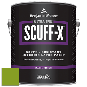 Benjamin Moore 484 Ultra Spec SCUFF-X Interior Matte Finish краска цвет 2028-10 Iguana Green