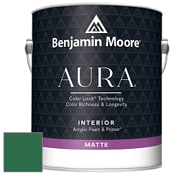 Benjamin Moore Aura 522 Interior Paint - Matte краска цвет 2039-10 Deep Green