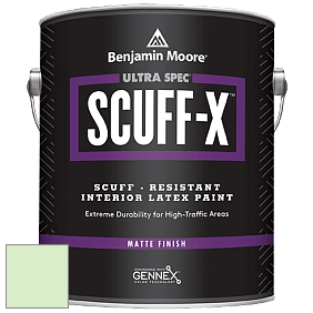 Benjamin Moore 484 Ultra Spec SCUFF-X Interior Matte Finish краска цвет 2032-60 Citra Lime