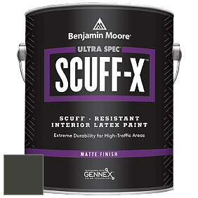 Benjamin Moore 484 Ultra Spec SCUFF-X Interior Matte Finish краска цвет NCS S 8505-G50Y 