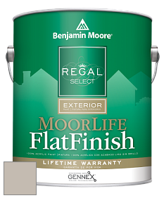 Benjamin Moore W105 Regal Select Exterior Paint-MoorLife Flat Finish краска цвет 861 Shale