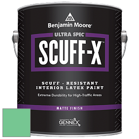 Benjamin Moore 484 Ultra Spec SCUFF-X Interior Matte Finish краска цвет 2037-40 Adam Green