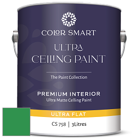 COLOR SMART CS 758 ULTRA CEILING PAINT ультраматовая краска цвет NCS S 2070-G10Y 