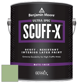Benjamin Moore 484 Ultra Spec SCUFF-X Interior Matte Finish краска цвет NCS S 2030-G30Y 