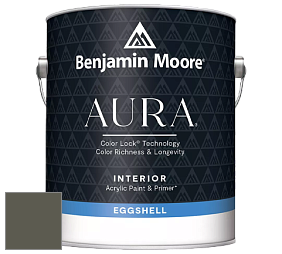 Benjamin Moore Aura 524 Waterborne Interior Eggshell Finish краска цвет 2140-20 Tuscany Green