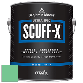 Benjamin Moore 485 Ultra Spec SCUFF-X Interior Eggshell Finish краска цвет 2037-40 Adam Green