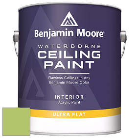 Benjamin Moore 508 Waterborne Ceiling Paint краска для потолков цвет 2029-40 Stem Green