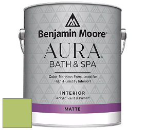 Benjamin Moore Aura 532 Bath & Spa Waterborne Interior Paint Matte Finish краска цвет 2029-40 Stem Green
