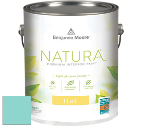 Benjamin Moore 512 Natura Interior Flat Finish матовая краска цвет 661 Caribbean Cool