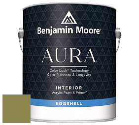 Benjamin Moore Aura 524 Waterborne Interior Eggshell Finish краска цвет NCS S 4040-G70Y 