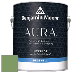 Benjamin Moore Aura 524 Waterborne Interior Eggshell Finish краска цвет NCS S 3040-G30Y 