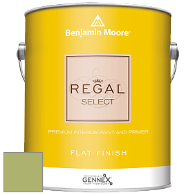 Benjamin Moore 547 Regal Select Waterborne Interior Flat Finish краска цвет NCS S 2040-G50Y 