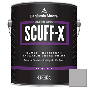 Краска Ultra Spec SCUFF-X Interior Matte Finish (484) цвет 1460 Silver Dollar
