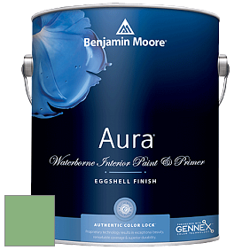 Benjamin Moore Aura 524 Waterborne Interior Eggshell Finish краска цвет NCS S 2040-G20Y 