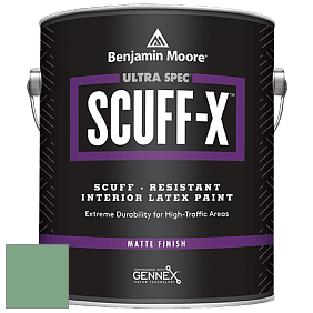 Benjamin Moore 484 Ultra Spec SCUFF-X Interior Matte Finish краска цвет NCS S 3030-G10Y 