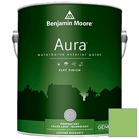 Краска Benjamin Moore Aura 629 Waterborne Exterior Flat Finish краска цвет 558 Killala Green
