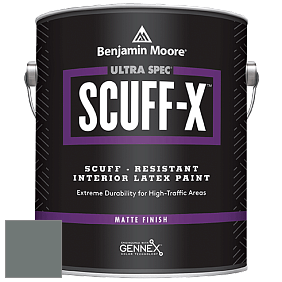 Benjamin Moore 484 Ultra Spec SCUFF-X Interior Matte Finish краска цвет NCS S 6005-B80G 
