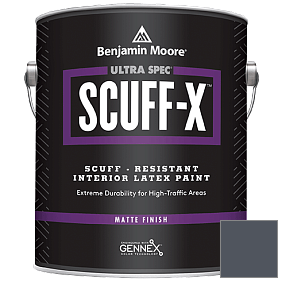 Краска Ultra Spec SCUFF-X Interior Matte Finish (484) цвет AF-565 