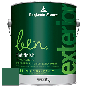 Benjamin Moore Ben 541 Waterborne Exterior Flat Finish краска цвет 2042-10 True Green