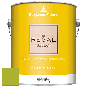 Benjamin Moore 547 Regal Select Waterborne Interior Flat Finish краска цвет 2028-30 Tequila Lime