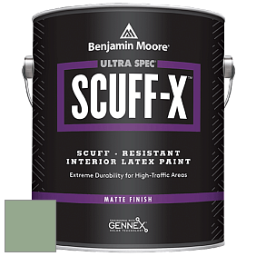 Benjamin Moore 484 Ultra Spec SCUFF-X Interior Matte Finish краска цвет NCS S 3020-G20Y 