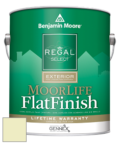 Benjamin Moore W105 Regal Select Exterior Paint-MoorLife Flat Finish краска цвет 2028-60 Celadon Green