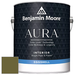 Benjamin Moore Aura 524 Waterborne Interior Eggshell Finish краска цвет NCS S 5540-G60Y 