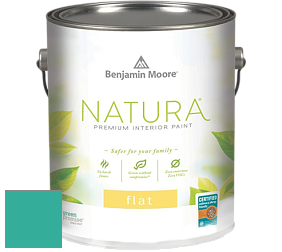 Benjamin Moore 512 Natura Interior Flat Finish матовая краска цвет NCS S 2050-B70G 